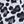 Black Leopard