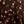 Brown Taupe