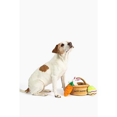 Midlee Hide A Toy Easter Basket Dog Toy