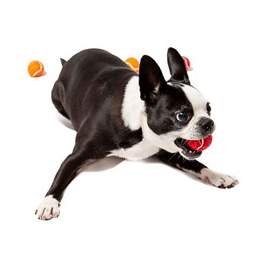 Midlee Mini Dog Tennis Balls With Squeaker (pack of 12)