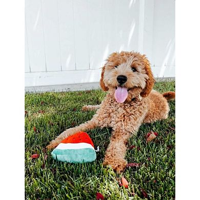 Midlee Smiley Watermelon Squeaker Plush Dog Toy