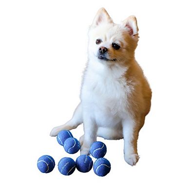Midlee Happy Birthday Dog Tennis Balls (12 Pack)