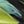 Black Blue Green