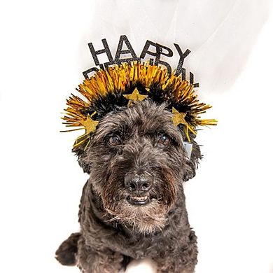 Midlee Sparkle Happy Birthday Dog Headband