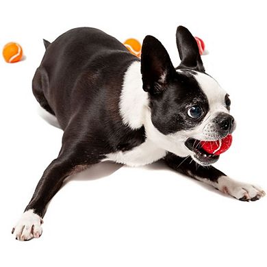 Midlee Dog Tennis Balls Assorted Colors With Squeaker- 25 Pack