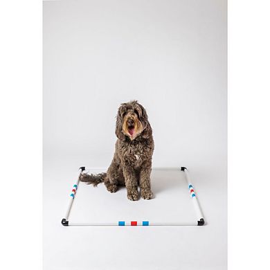 Midlee Dog Agility Pause Box