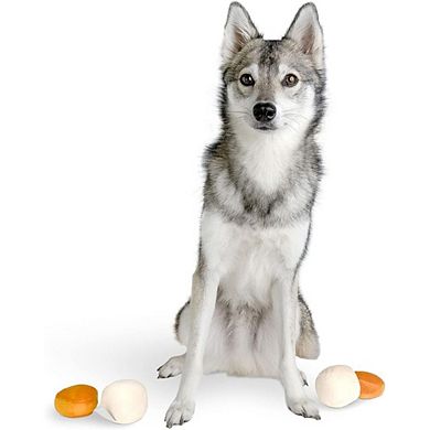 Matzo Ball Soup Plush Dog Toy