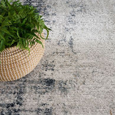 Nourison Dekor Modern Distressed Indoor Area Rug