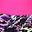 Rebel Pink