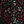 Black Mulit Floral