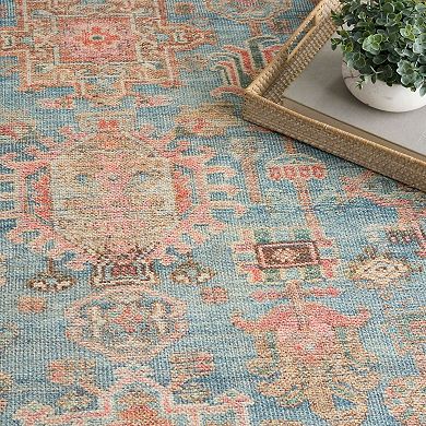 Nourison Vintage Washables Traditional Non-Slip Indoor Area Rug