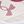 Apex Pink White