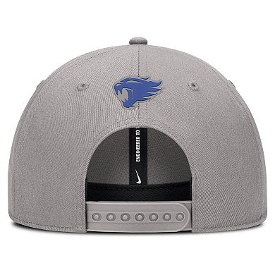 Men's Nike Gray Kentucky Wildcats Rise Practice Adjustable Hat