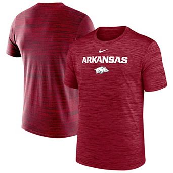 Men's Nike Cardinal Arkansas Razorbacks Velocity Performance T-Shirt