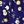 Navy Yellow Daisy