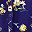 Navy Yellow Daisy