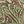 Olive Pink Paisley