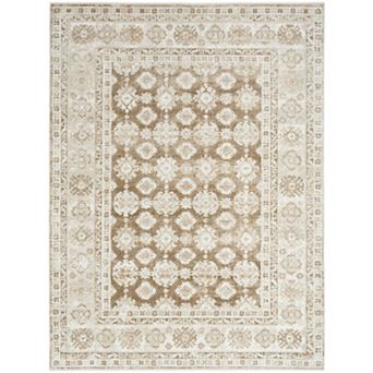 Nourison Dekor Vintage Floral Indoor Area Rug