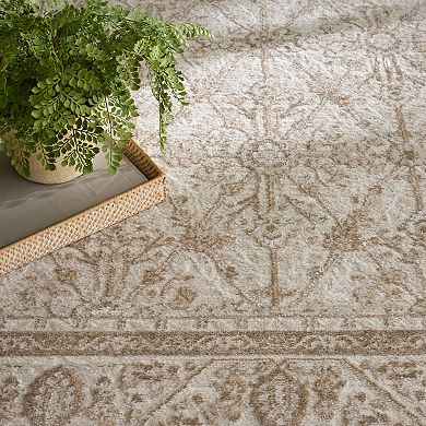 Nourison Dekor Vintage Traditional Indoor Area Rug