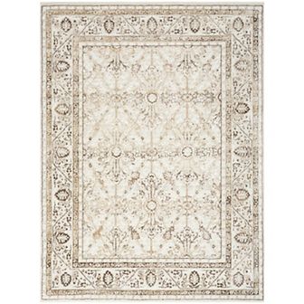 Nourison Dekor Vintage Traditional Indoor Area Rug