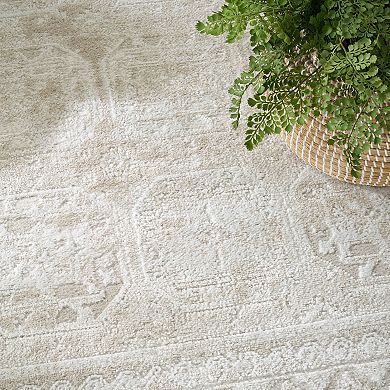 Nourison Dekor Vintage Indoor Area Rug