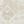 Ivory Beige