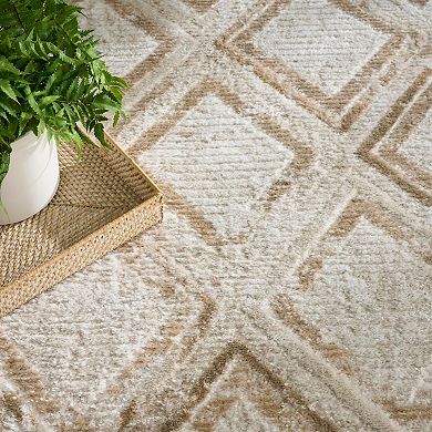 Nourison Dekor Modern Indoor Area Rug