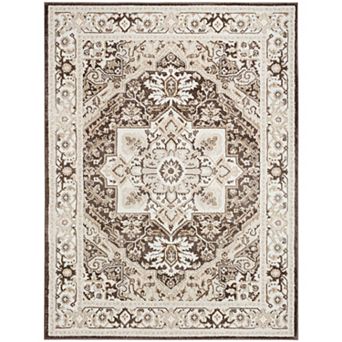 Nourison Dekor Medallion Vintage Indoor Area Rug