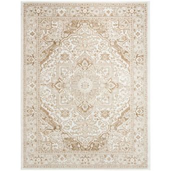 Nourison Dekor Medallion Vintage Indoor Area Rug