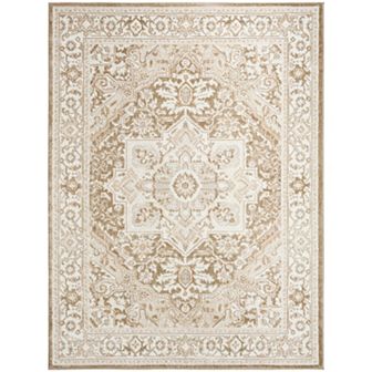 Nourison Dekor Medallion Vintage Indoor Area Rug