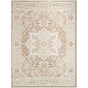 Nourison Dekor Medallion Vintage Indoor Area Rug