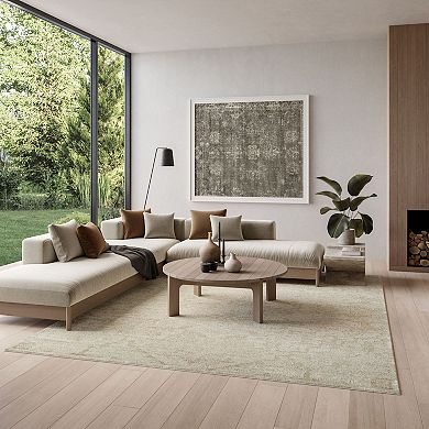 Nourison Dekor Floral Vintage Indoor Area Rug