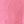 Pink Orchid