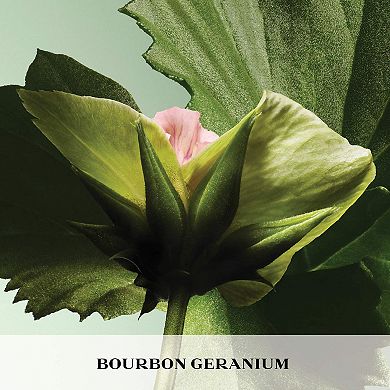 Paradigme Eau de Parfum with Bergamot