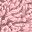 Dusty Rose