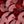 Iridecent Burgundy
