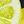 Lemon Yellow
