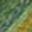 Gold Green
