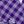 Plum Burst Plaid Paw