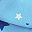 Sky Blue Stars