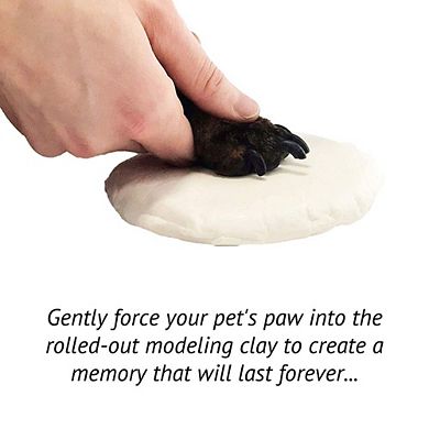 Midlee White 4 Photo Paw Print Frame