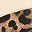 Brown Leopard