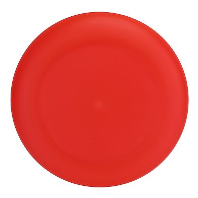 Celebrate Together™ Summer 4-pc. Dinner Plate Set