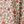 Cream Josie Fleurs