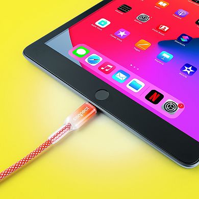 Connect 4-ft. Lightning to USB-C Charging Cable