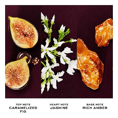 Perfect Absolute Eau de Parfum Travel Spray with Fig & Amber