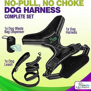 Katziela Dog Harness Walking Kit and Leash Set for Dogs Pack 1