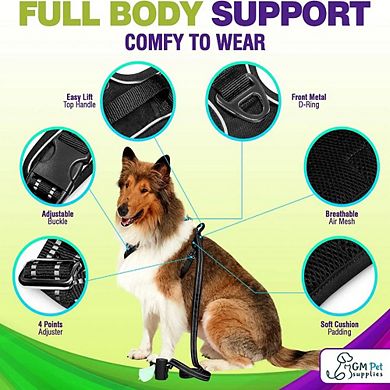Katziela Dog Harness Walking Kit and Leash Set for Dogs Pack 1