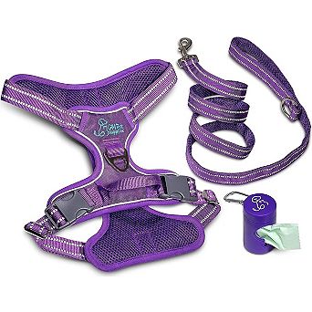 Katziela Dog Harness Walking Kit and Leash Set for Dogs Pack 1