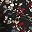 Black Beigepink Floral